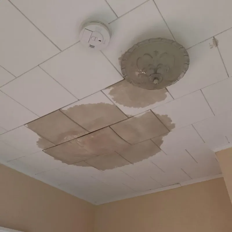Ceiling Water Damage Repair in Third Lake, IL
