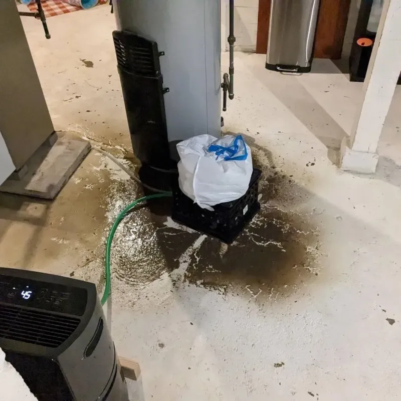 Sewage Backup Cleanup Service in Third Lake, IL